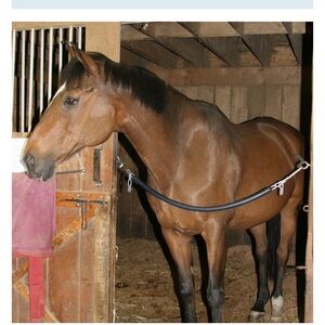 Black Stall Guard EUC